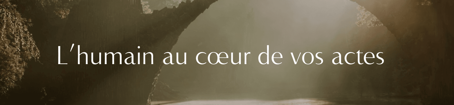 Bannière Office 1803